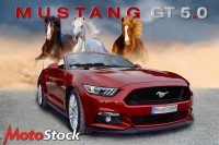 mustang_final60x40_gt5_2992.jpg