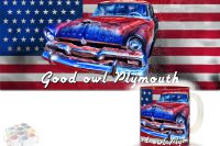 tasse_plymouth_muster