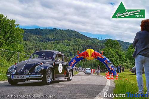 75_vw-kaefer_101234_001