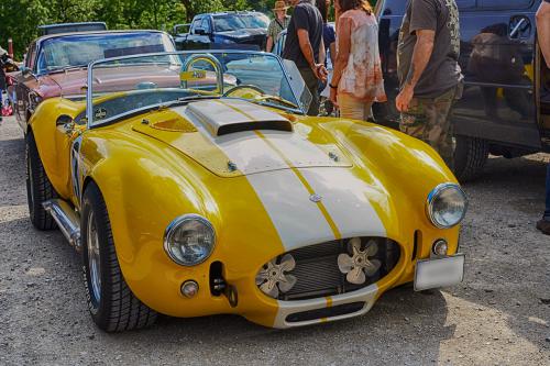 ac_cobra_ffb_rt60_3215