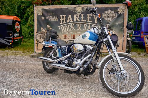 blue_harley_ernst_3911