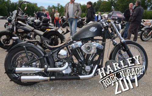 custom_harley_2926