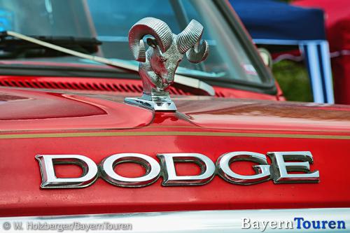 dodge_widder_8668