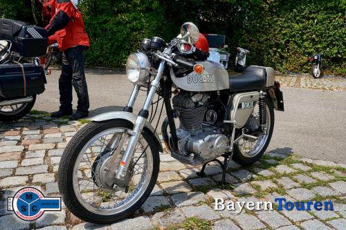 ducati_350_hoh_peissen_7453