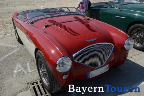 austin healey 2164